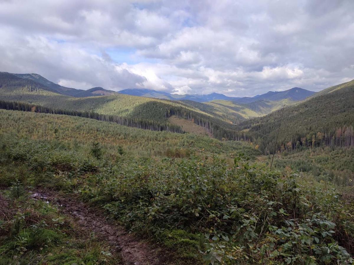 Карпатські Ночі Чан На Території Yaremche Exterior foto