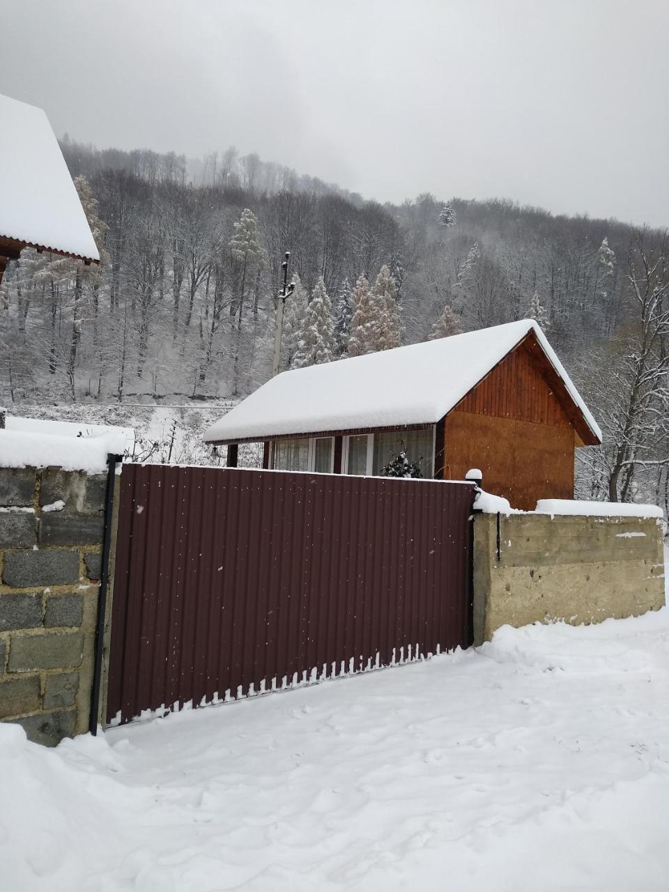 Карпатські Ночі Чан На Території Yaremche Exterior foto